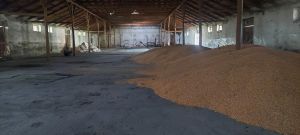 იყიდება 1000 კვმ კომერციული ფართი - საგარეჯოს რაიონი