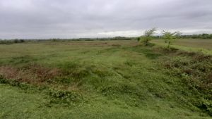 იყიდება 160000 კვმ მიწა - სამტრედიის რაიონი