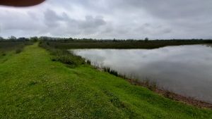 იყიდება 160000 კვმ მიწა - სამტრედიის რაიონი