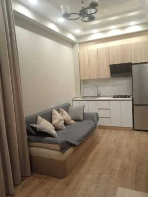 ქირავდება 2 ოთახიანი ბინა - თბილისი