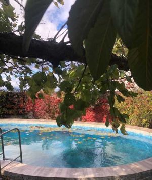 ქირავდება 5 ოთახიანი სახლი - თბილისი