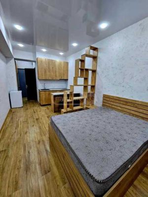 ქირავდება 1 ოთახიანი ბინა - თბილისი