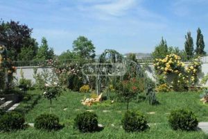 ქირავდება 10 ოთახიანი სახლი - თბილისი