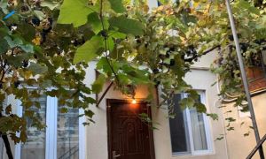 იყიდება 6 ოთახიანი სახლი - ბორჯომის რაიონი