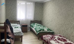 იყიდება 6 ოთახიანი სახლი - ბორჯომის რაიონი