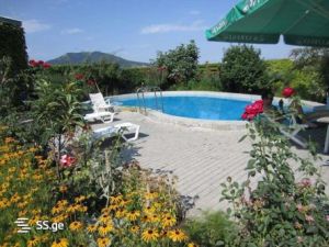 იყიდება 6 ოთახიანი სახლი - თბილისი