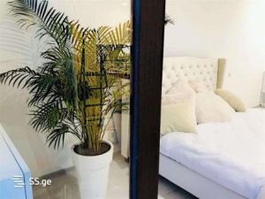 ქირავდება 3 ოთახიანი ბინა - თბილისი