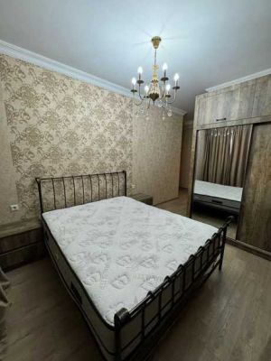 ქირავდება 4 ოთახიანი ბინა - თბილისი