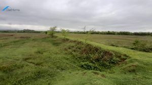 იყიდება 160000 კვმ მიწა - სამტრედიის რაიონი