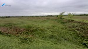 იყიდება 160000 კვმ მიწა - სამტრედიის რაიონი