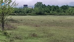 იყიდება 160000 კვმ მიწა - სამტრედიის რაიონი