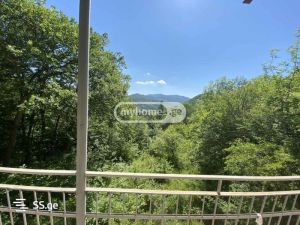 იყიდება 6 ოთახიანი სახლი - თბილისი