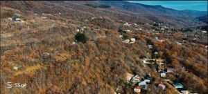 იყიდება 6 ოთახიანი სახლი - თბილისი