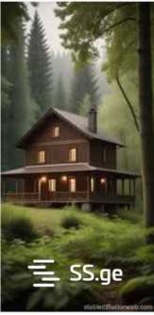 იყიდება 8 ოთახიანი სახლი - თბილისი