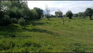 იყიდება 2700 კვმ მიწა - თბილისი