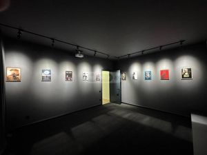 იყიდება 8 ოთახიანი სახლი - თბილისი