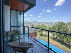 იყიდება 9 ოთახიანი სახლი - თბილისი