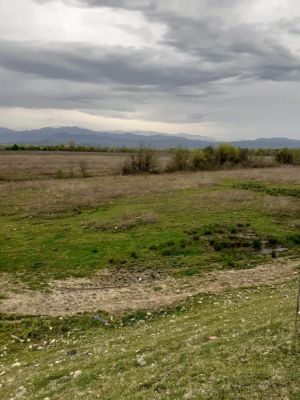 იყიდება 540000 კვმ მიწა - სამტრედიის რაიონი