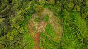 იყიდება 2317 კვმ მიწა - ქობულეთის რაიონი