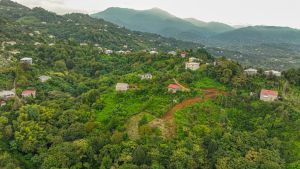 იყიდება 2317 კვმ მიწა - ქობულეთის რაიონი