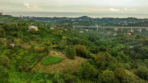 იყიდება 2317 კვმ მიწა - ქობულეთის რაიონი