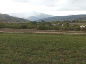 იყიდება 10037 კვმ მიწა - დუშეთის რაიონი