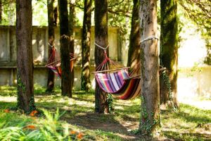 ქირავდება სასტუმრო - წყალტუბოს რაიონი