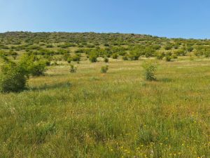 იყიდება 800 კვმ მიწა - თბილისი