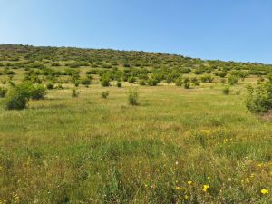 იყიდება 800 კვმ მიწა - თბილისი