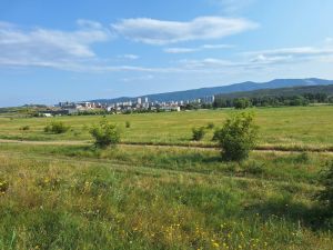 იყიდება 800 კვმ მიწა - თბილისი