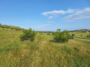 იყიდება 800 კვმ მიწა - თბილისი