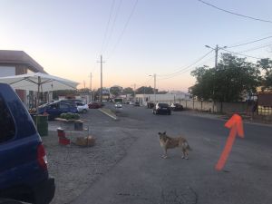 იყიდება 1000 კვმ მიწა - თბილისი