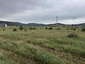 იყიდება 1400 კვმ მიწა - თბილისი