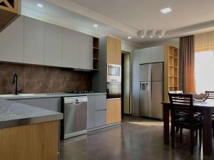 ქირავდება 8 ოთახიანი სახლი - თბილისი