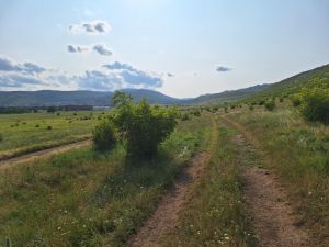 იყიდება 800 კვმ მიწა - თბილისი