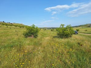 იყიდება 800 კვმ მიწა - თბილისი