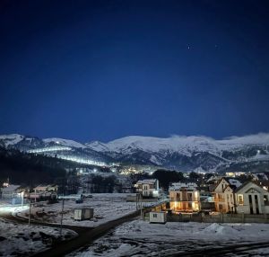 ქირავდება დღიურად 2 ოთახიანი ბინა - ბორჯომის რაიონი