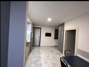 ქირავდება დღიურად 2 ოთახიანი ბინა - ბორჯომის რაიონი