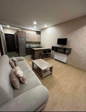 ქირავდება დღიურად 2 ოთახიანი ბინა - ბორჯომის რაიონი