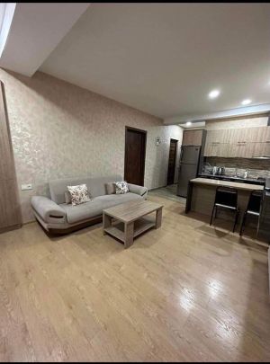 ქირავდება დღიურად 2 ოთახიანი ბინა - ბორჯომის რაიონი