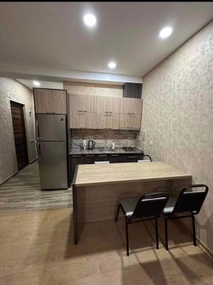 ქირავდება დღიურად 2 ოთახიანი ბინა - ბორჯომის რაიონი