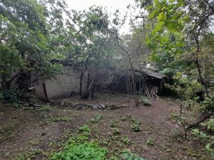 იყიდება 1000 კვმ მიწა - თბილისი