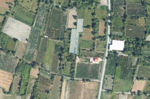 იყიდება 3532 კვმ მიწა - ყვარლის რაიონი