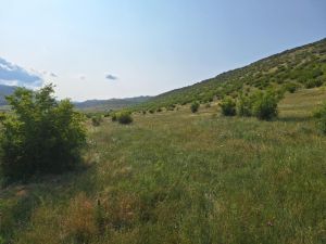 იყიდება 800 კვმ მიწა - თბილისი