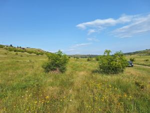 იყიდება 800 კვმ მიწა - თბილისი
