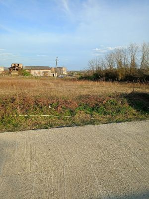 იყიდება 2794 კვმ მიწა - წყალტუბოს რაიონი