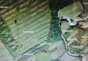 იყიდება 120000 კვმ მიწა - სენაკის რაიონი