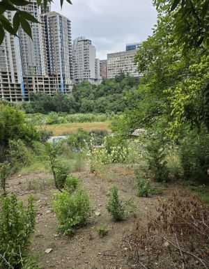 იყიდება 20 კვმ კომერციული ფართი - თბილისი