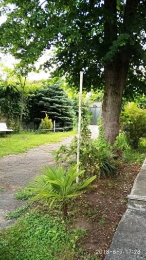 ქირავდება 3 ოთახიანი სახლი - თბილისი