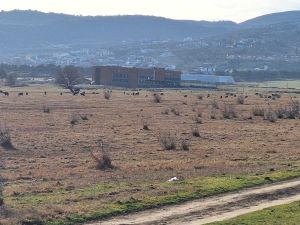 იყიდება 800 კვმ მიწა - თბილისი